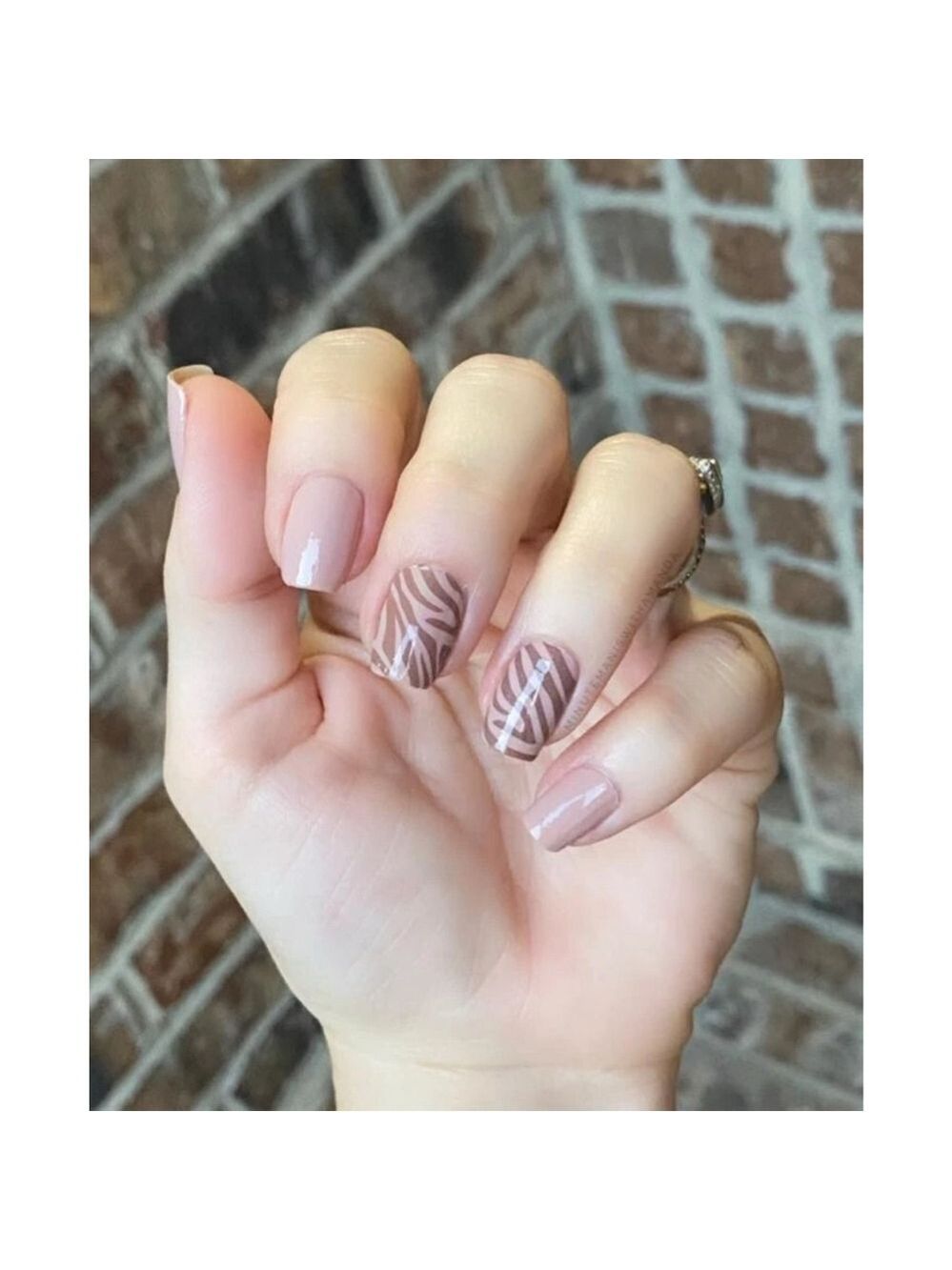Color Street All Wild Up Nude Brown Zebra Print Press-On Nail Strips One Size